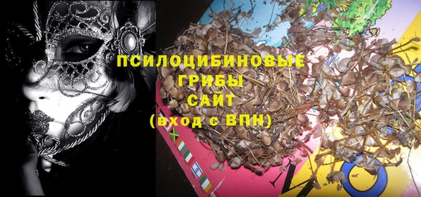 спиды Вяземский