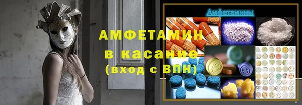 спиды Вяземский