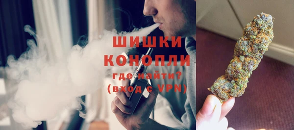спиды Вяземский