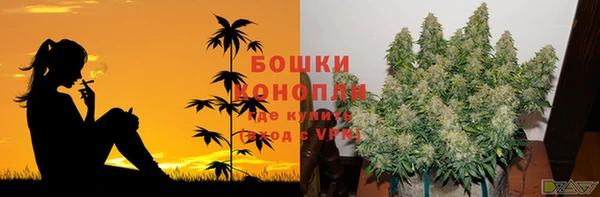 спиды Вяземский
