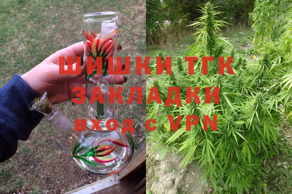 спиды Вяземский