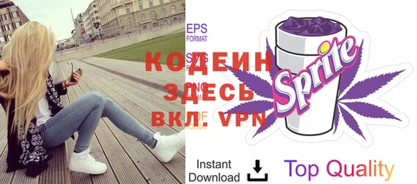 спиды Вяземский