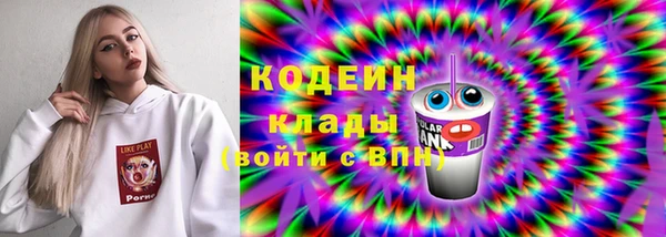 спиды Вяземский