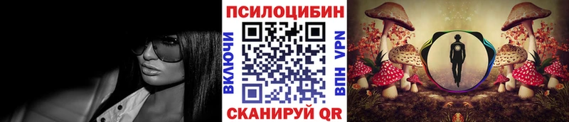Псилоцибиновые грибы Psilocybe  Купить закладки  Межгорье 