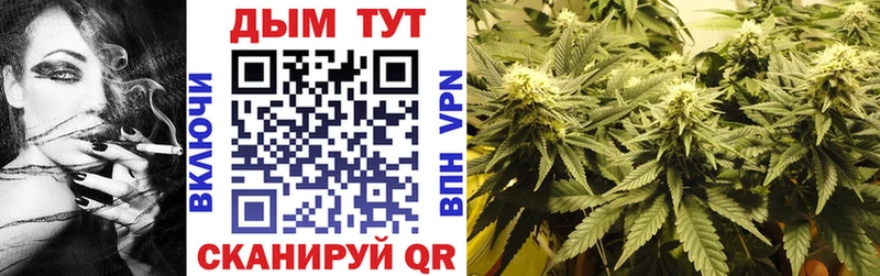 Канабис Amnesia  Купить закладки  Межгорье 